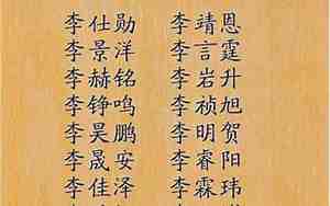 姓氏宝宝男孩名字