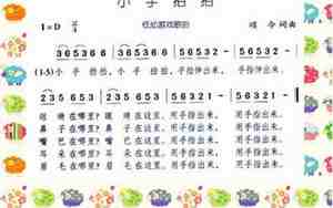 小手拍拍教案
