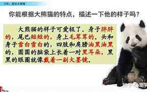什么的熊猫的句子