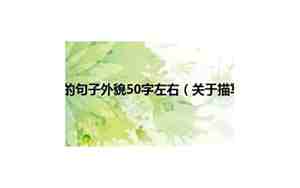 描写老人的好句子50字