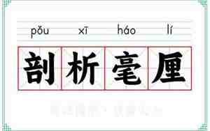 剖析成语句子