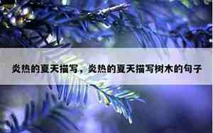 说炎热的句子