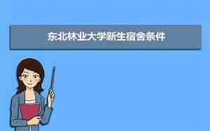 东北林业大学教务系统