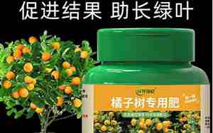 盆栽橘子树用什么肥料