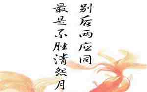 别纠结的句子