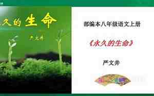 永久的生命教案