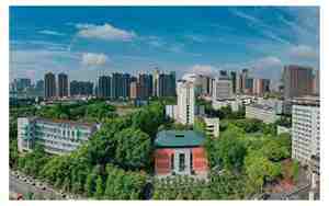 湖北的大学