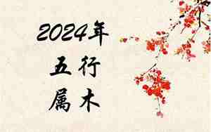 2024年出生是什么命