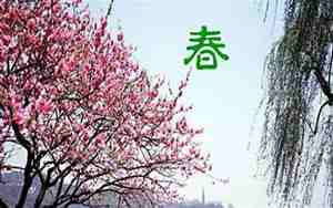 描写春景的一段句子