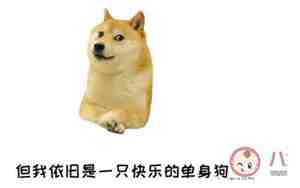 最新幽默搞笑句子