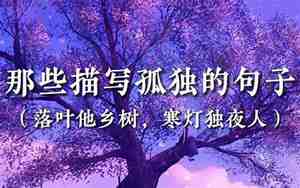写人孤独的句子