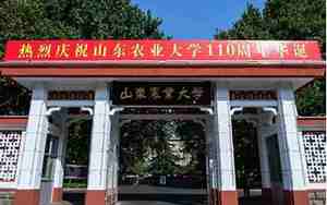 齐鲁医科大学