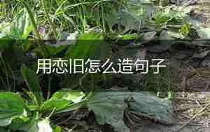 地秤怎么造句子