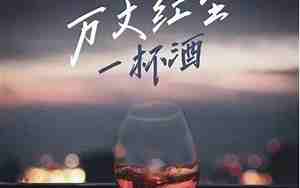 一杯红尘之酒的句子