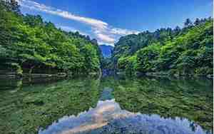 牯牛降风景区