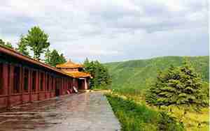 鹤岗景点