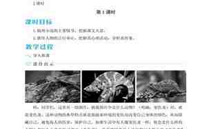 九年级变色龙教案