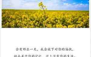 以后安好的句子