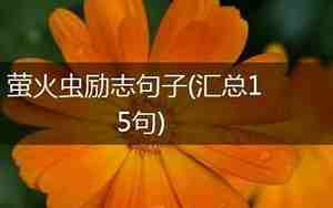 萤火虫励志句子
