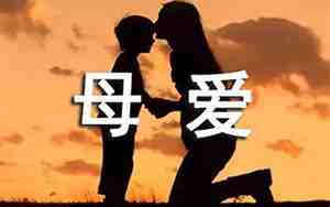 关于母爱的句子简短