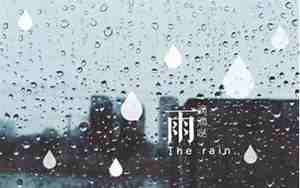 下大雨饮茶句子