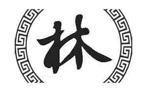 适合男宝宝名字姓林
