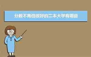 分数不高但很好的大学