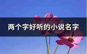 好听的小说名字淑女