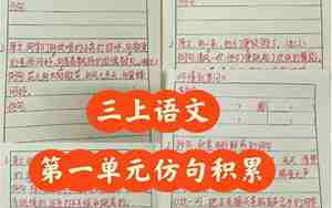 各式各样的句子