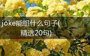 创造可以组什么句子