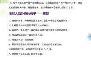 描写嘴巴的生动句子