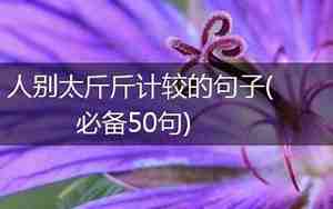 表达斤斤计较的句子