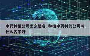 种植中成药公司名字