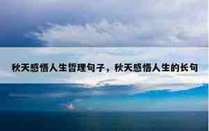 感悟人生的句子短语