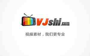 vj师