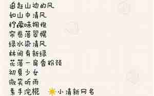 小清新的公司名字诗经