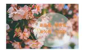 有关静的句子