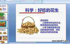 好吃的花生教案