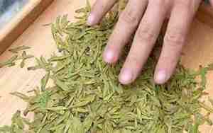 新茶是什么意思