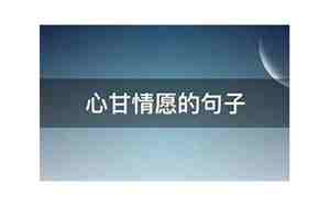 心甘情愿放手的句子